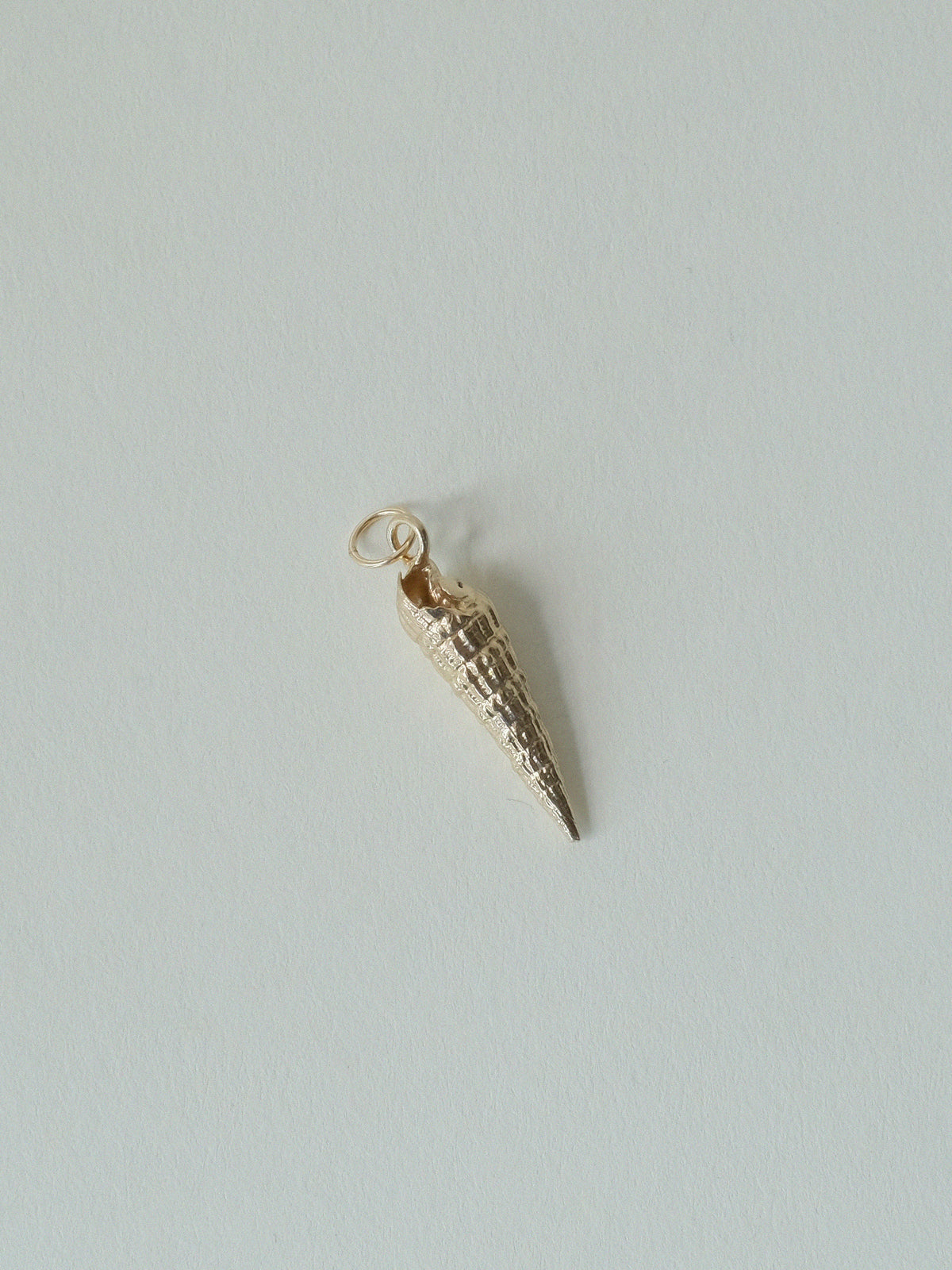 Auger Shell Charm | I Like It Here Club